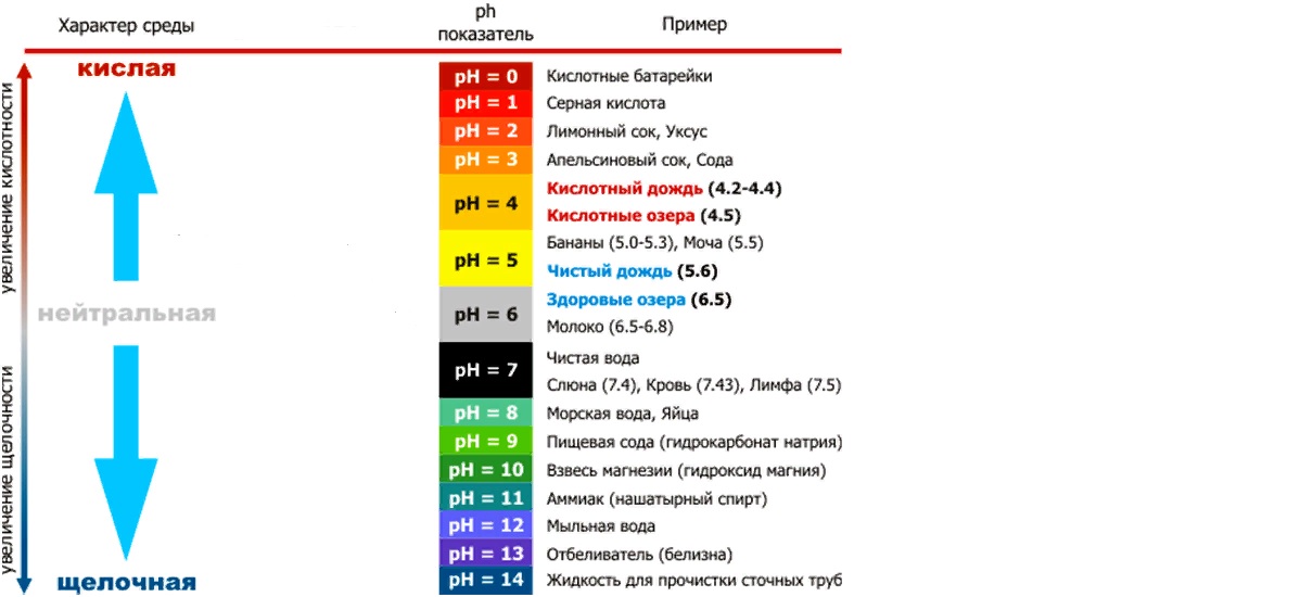 Вода какая среда